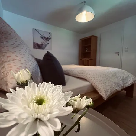 Ferienwohnung Leonie Oberau  Zewnętrze zdjęcie